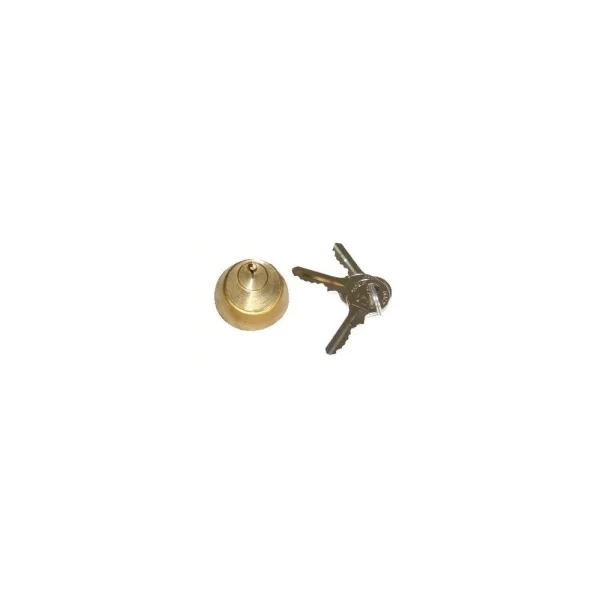 vente en ligne Faac Cylindre Interne 2 Cle Serrure Electrique 712651001/36 1