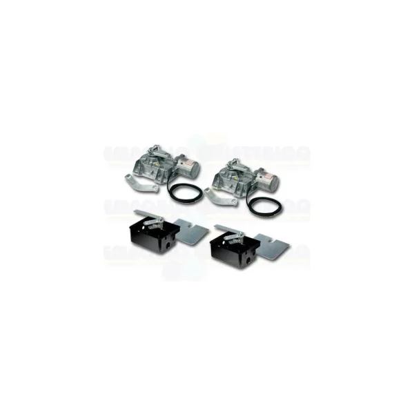 Came Kit 24v Motoréducteur 2 X Frog-a24 Caisses 2 X Frog-cfn Empa242f… Livraison rapide 4